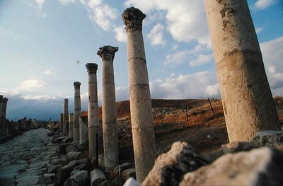 View of the Street of Columns by Roman Roman